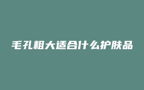毛孔粗大适合什么护肤品
