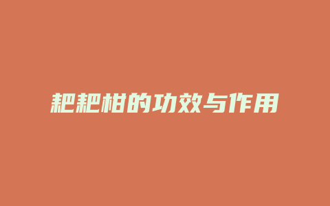 耙耙柑的功效与作用