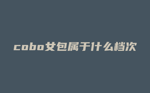 cobo女包属于什么档次