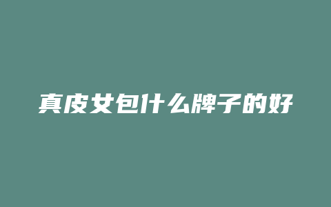 真皮女包什么牌子的好