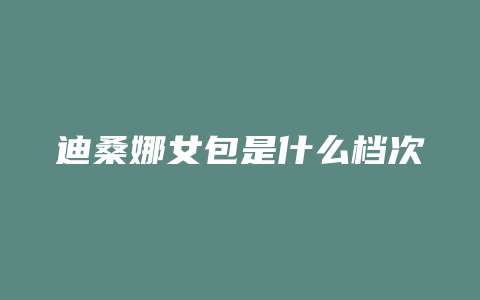 迪桑娜女包是什么档次