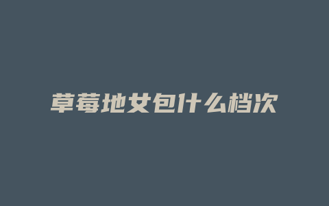 草莓地女包什么档次