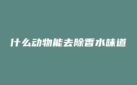 什么动物能去除香水味道