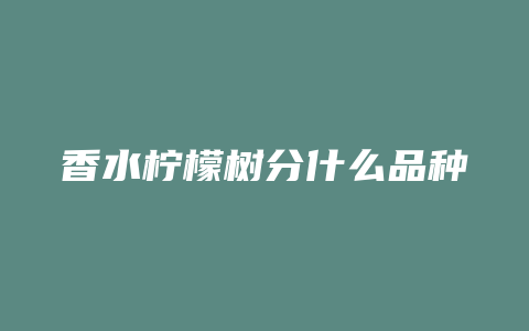 香水柠檬树分什么品种