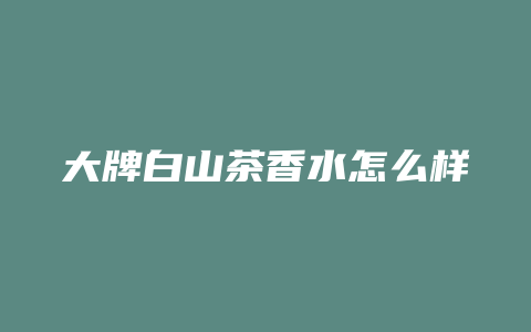 大牌白山茶香水怎么样