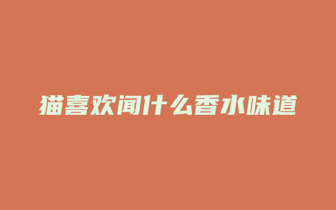 猫喜欢闻什么香水味道