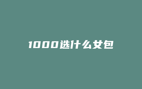 1000选什么女包