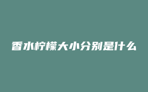 香水柠檬大小分别是什么