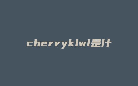 cherryklwl是什么女包