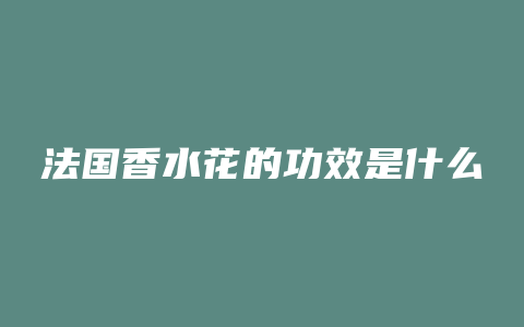 法国香水花的功效是什么