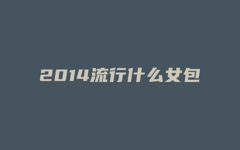 2014流行什么女包