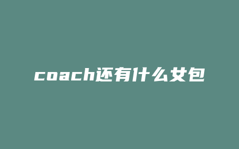 coach还有什么女包
