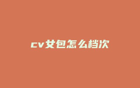 cv女包怎么档次
