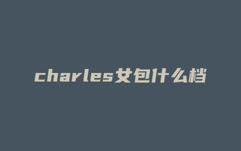 charles女包什么档次