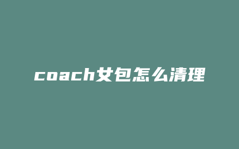 coach女包怎么清理