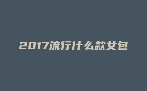 2017流行什么款女包