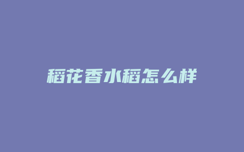 稻花香水稻怎么样