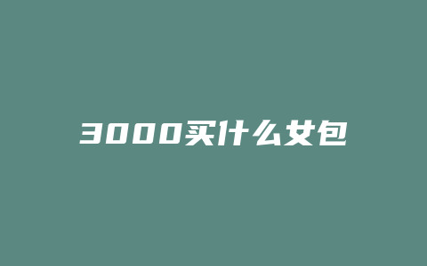3000买什么女包