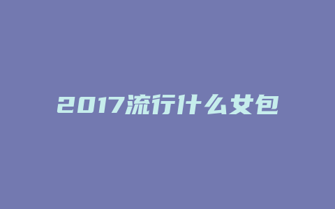 2017流行什么女包
