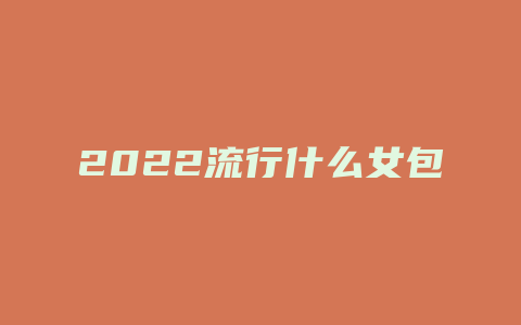 2022流行什么女包