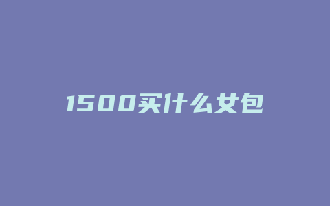 1500买什么女包