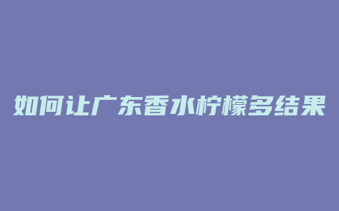 如何让广东香水柠檬多结果