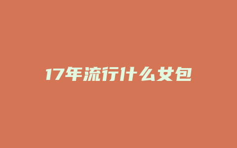 17年流行什么女包