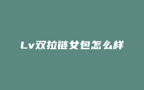 Lv双拉链女包怎么样