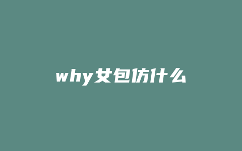 why女包仿什么