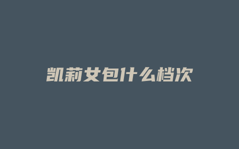 凯莉女包什么档次