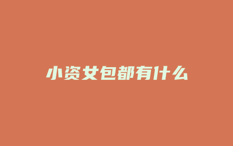 小资女包都有什么