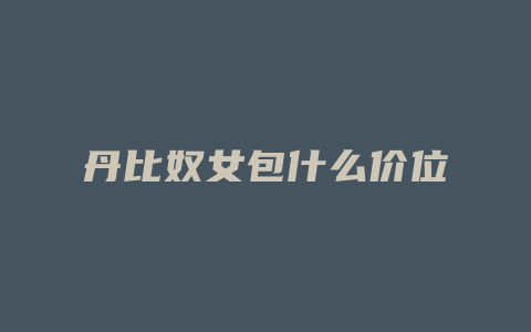 丹比奴女包什么价位