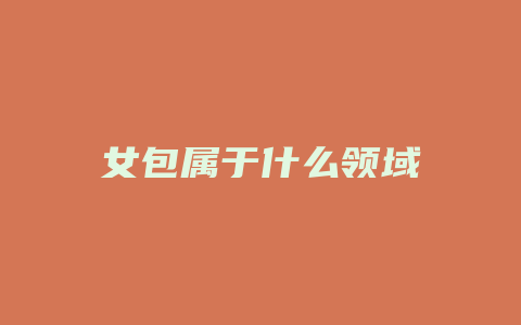女包属于什么领域