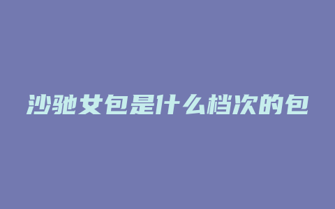 沙驰女包是什么档次的包
