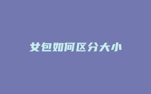 女包如何区分大小