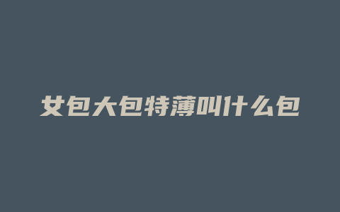 女包大包特薄叫什么包