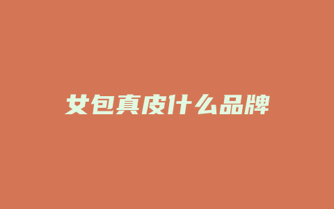 女包真皮什么品牌
