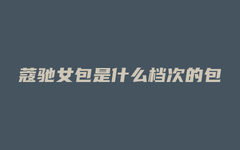 蔻驰女包是什么档次的包