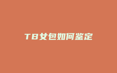 TB女包如何鉴定