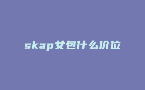 skap女包什么价位
