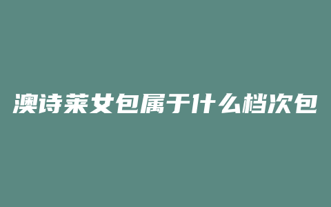 澳诗莱女包属于什么档次包