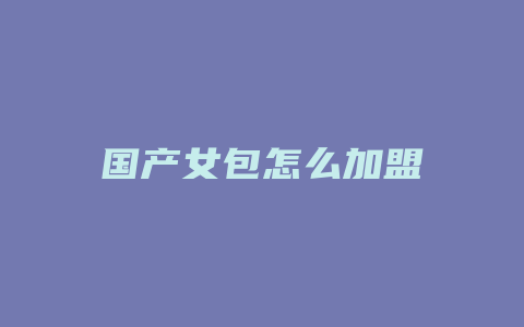 国产女包怎么加盟