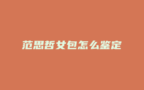 范思哲女包怎么鉴定