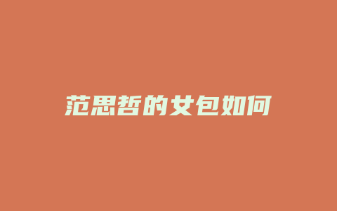 范思哲的女包如何