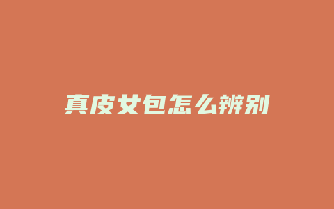真皮女包怎么辨别