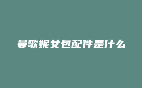 曼歌妮女包配件是什么
