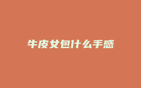 牛皮女包什么手感