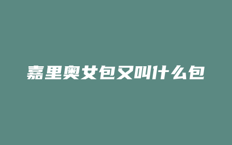 嘉里奥女包又叫什么包