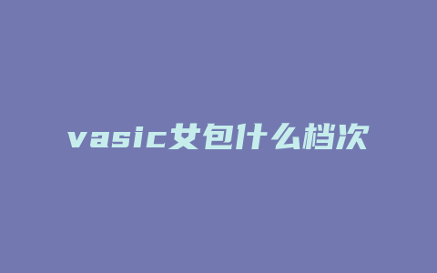 vasic女包什么档次