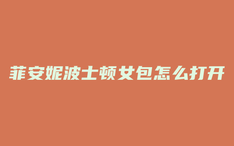 菲安妮波士顿女包怎么打开